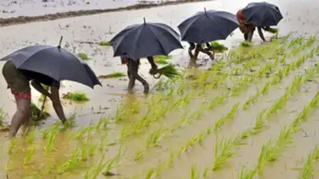 A favorable monsoon will contribute to the stabilization of decreasing inflation
