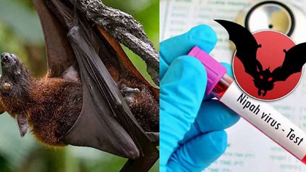 Advocating for preventive measures: Regarding Nipah virus cases in Kerala